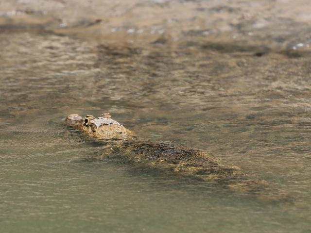 Protected: 21-08-2025 Safari Float Tour 7am Maquique Adventure