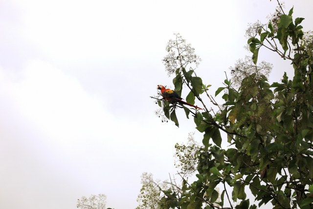 Protected: 12-03-2025 Tour safari