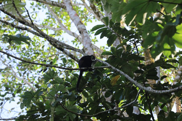 Protected: Safari float Maquique 25-01-2026