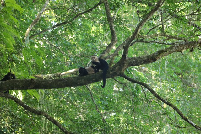 Protected: 19-04-2026 TOUR SAFARI MAQUIQUE ADVENTURE
