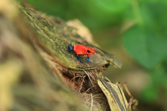 Protected: 28-04-2026 TOUR SAFARI MAQUIQUE ADVENTURE