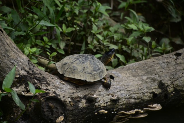 Protected: 26-05-2026 TOUR SAFARI FLOAT MAQUIQUE ADVENTURE