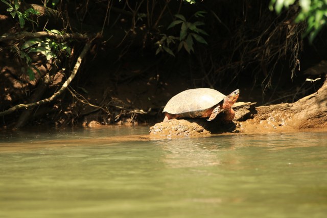 Protected: 04-06-2026 TOUR SAFARI FLOAT MAQUIQUE ADVENTURE
