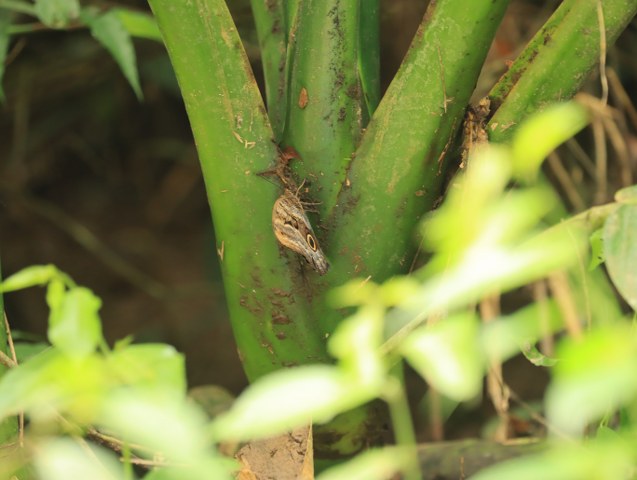 Protected: 17-06-2026 TOUR SAFARI FLOAT MAQUIQUE ADVENTURE