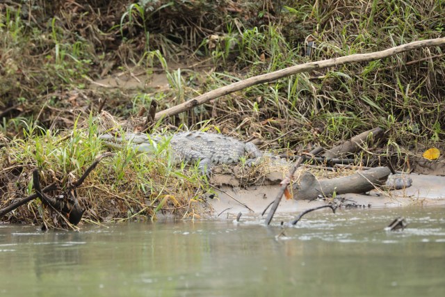 Protected: TOUR SAFARI FLOAT MAQUIQUE ADVENTURE 7/15/26