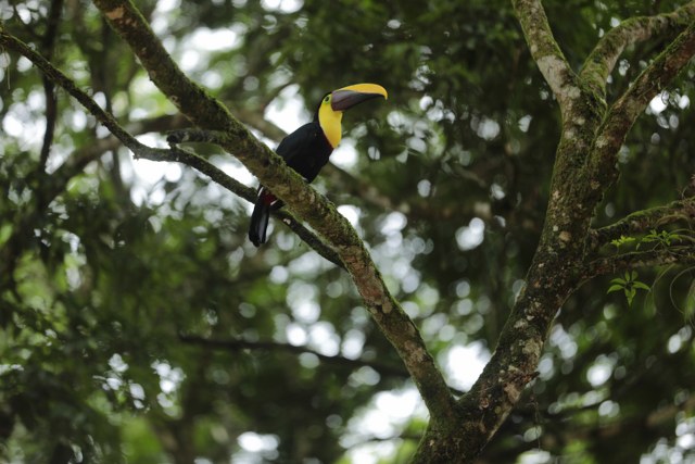Protected: TOUR SAFARI FLOAT MAQUIQUE ADVENTURE 7/19/26