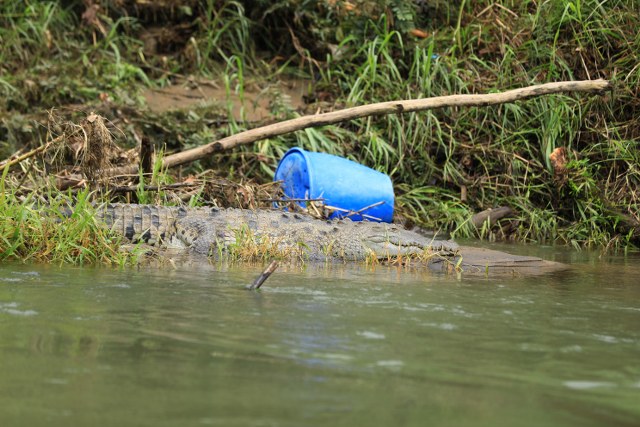 Protected: TOUR SAFARI FLOAT MAQUIQUE ADVENTURE 7/07/26 7 am