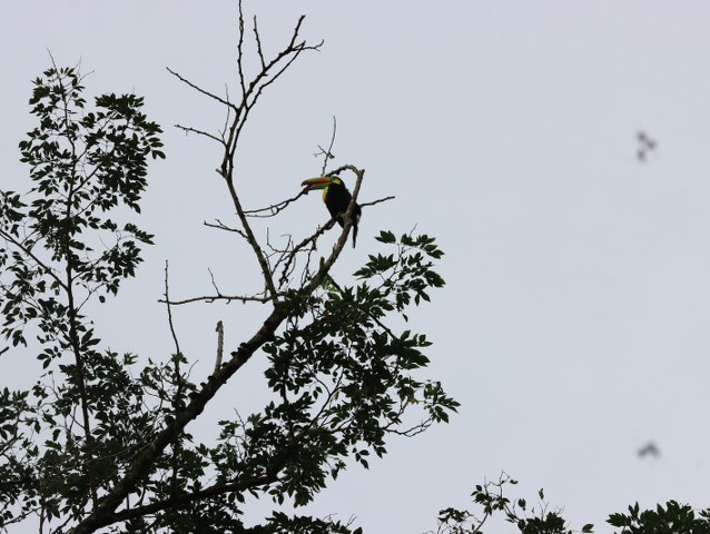 Protected: safari MAQUIQUE ADVENTURE 24-07-2026